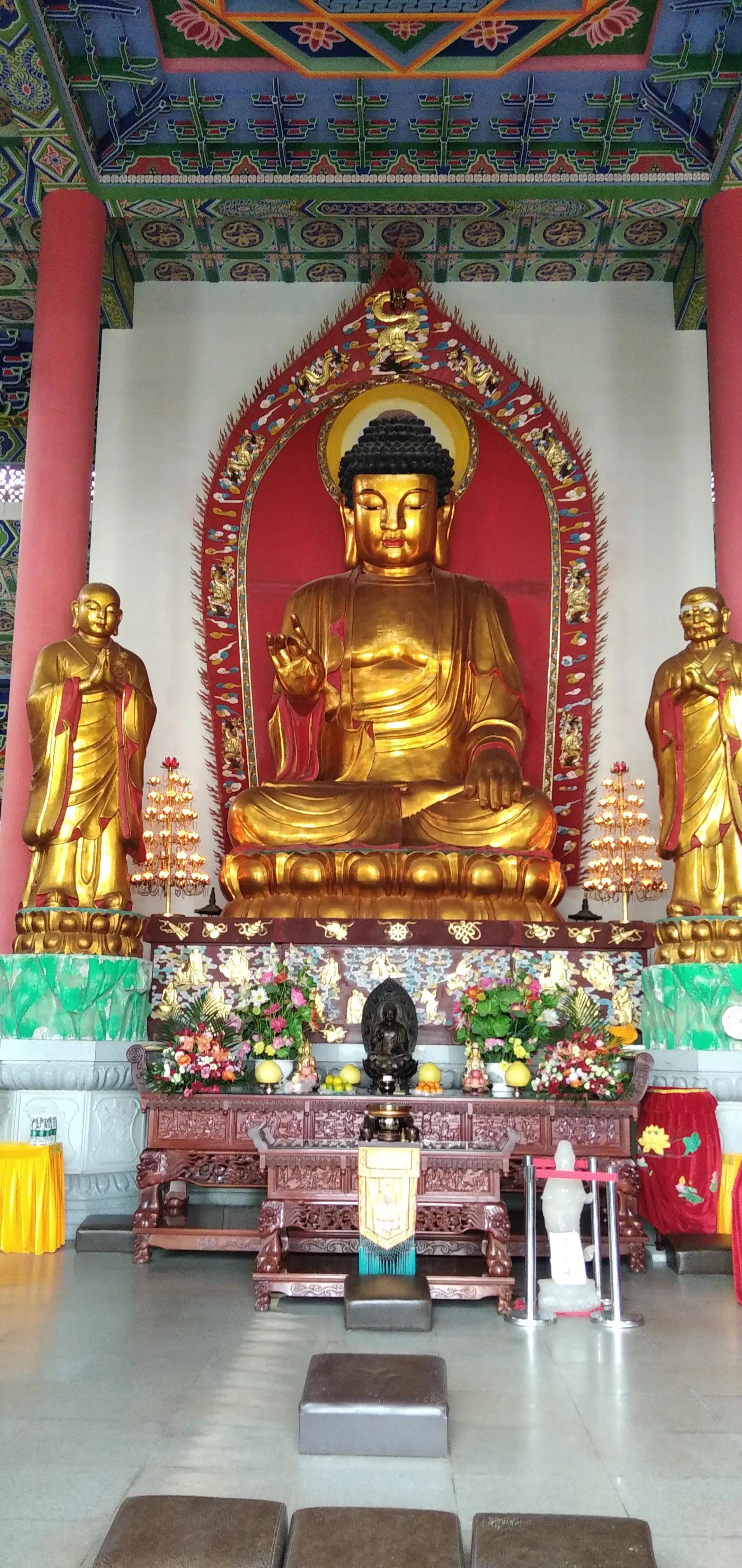 良凤江国家森林公园在哪里啊,良凤江国家森林公园