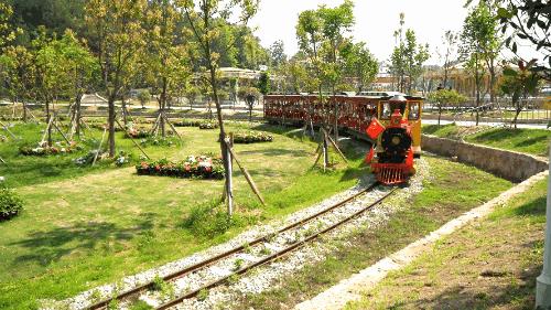 花young官方购票,花young套餐29元103g联通