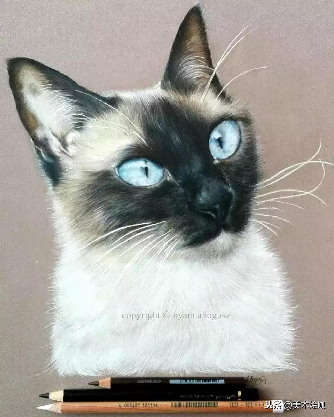 彩铅画教程超写实零基础入门,超写实彩铅画高清大图水果组合