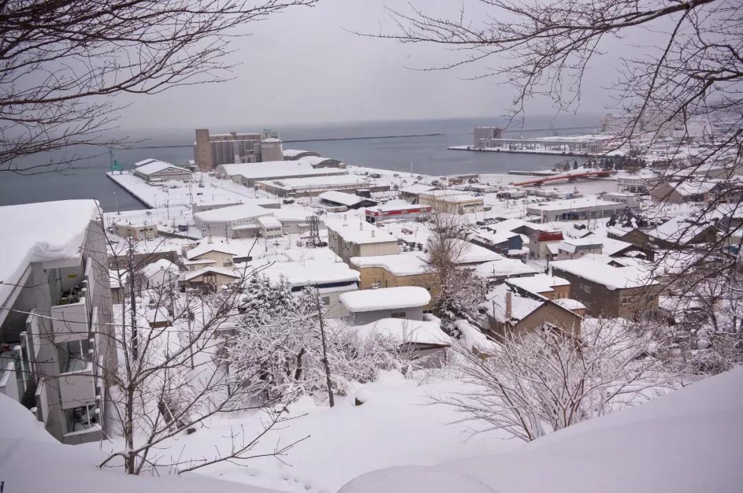 北海道十日游路线,夏日北海道9天自由行