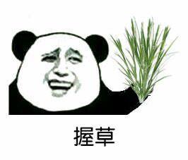 盘点那些好玩且占内存不高的游戏,推荐几款又好玩又不占内存的游戏