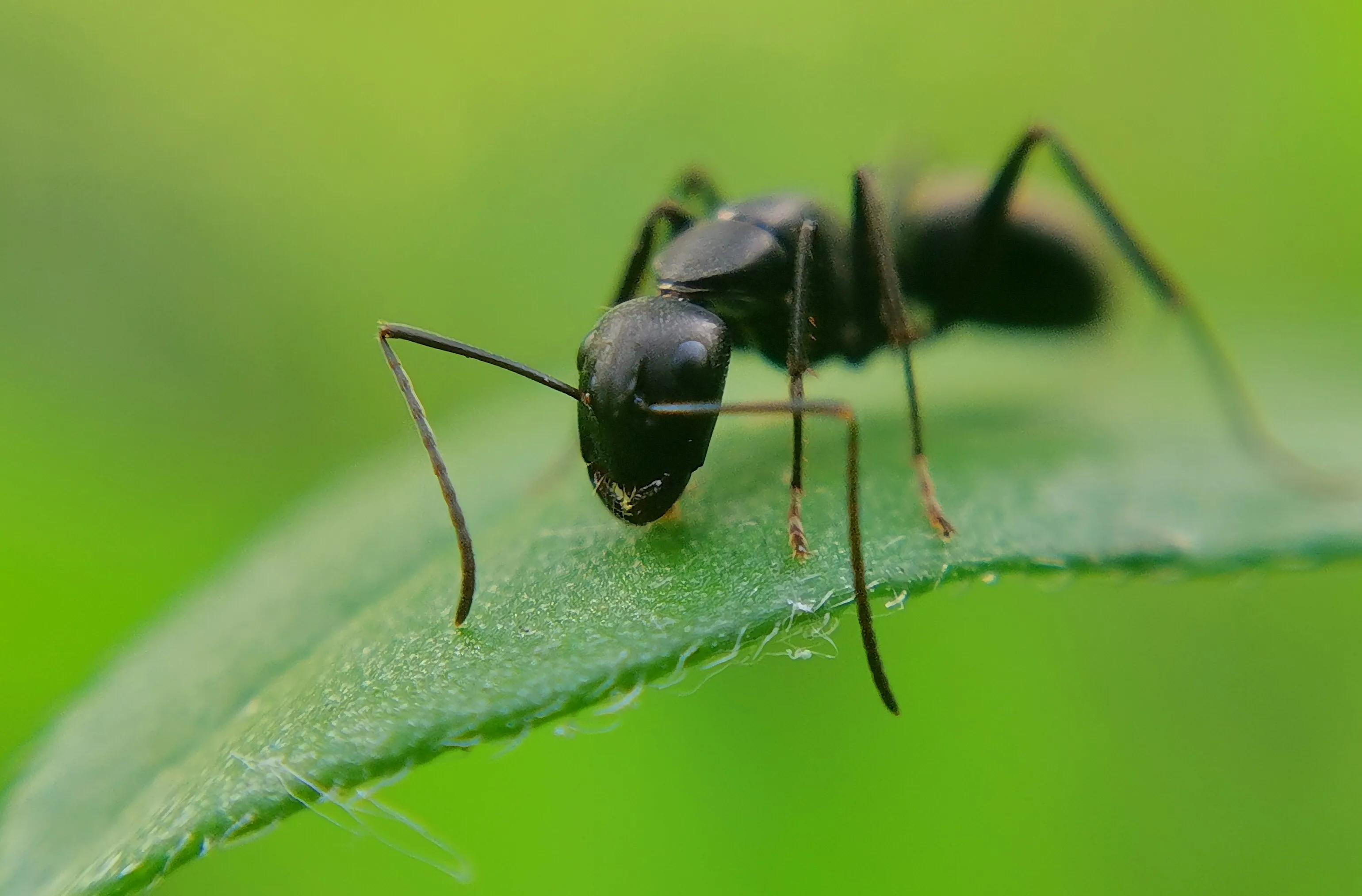 手机摄影手册圈友作品选第5期,手拍世界摄影交流平台