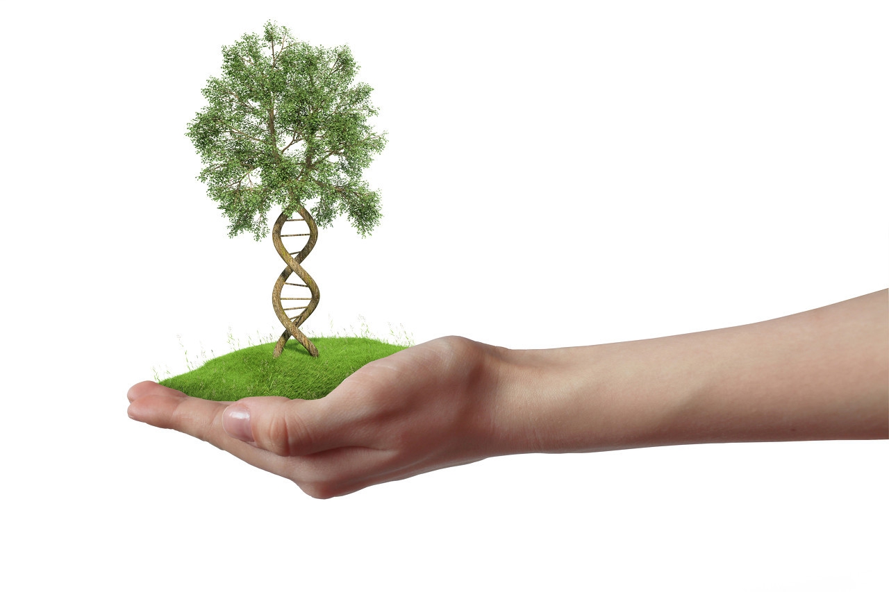 盘点护肤界的那些智商税,护肤界十大智商税