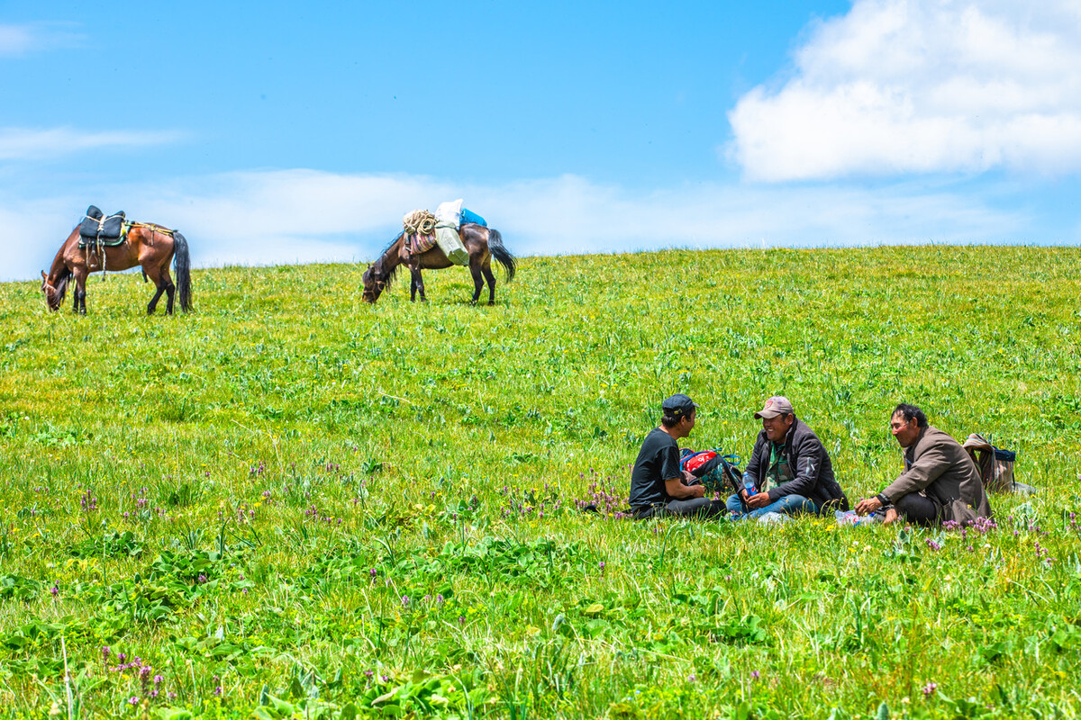 新疆自驾北疆伊犁大环线线路图,为什么不去新疆