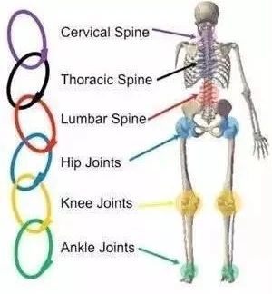 斜方肌肥大的主要原因是什么,斜方肌肥大是不是锁骨就不明显