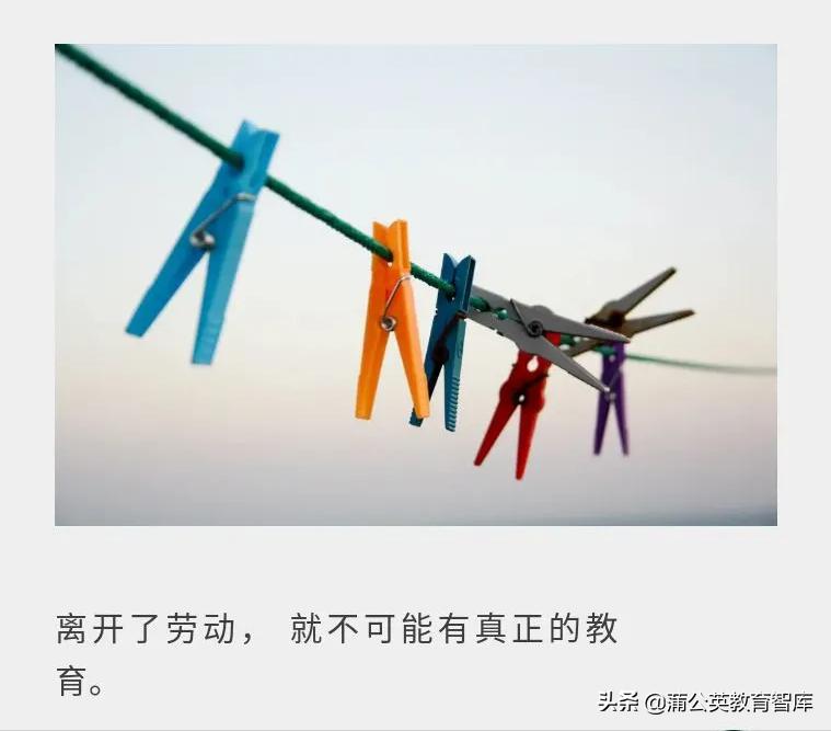 寒假劳动教育清单怎么填,教育部中小学劳动教育任务清单