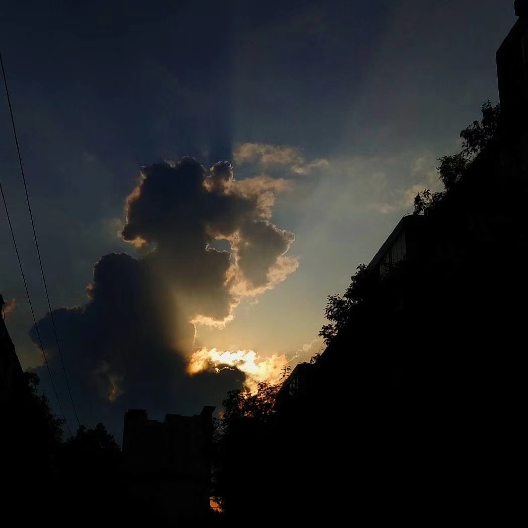 2019犯凶星的属相,2019年犯凶星的属相