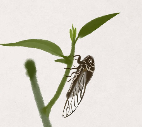 蝉古诗虞世南表达了什么,蝉古诗虞世南告诉我们的道理