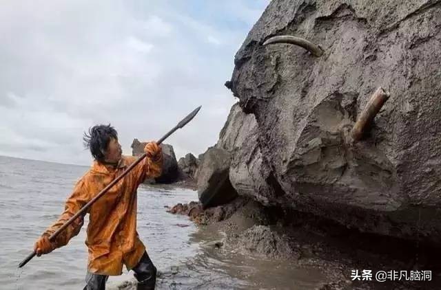 已灭绝四万年的猛犸象，人类祖先曾和猛犸象生死决斗