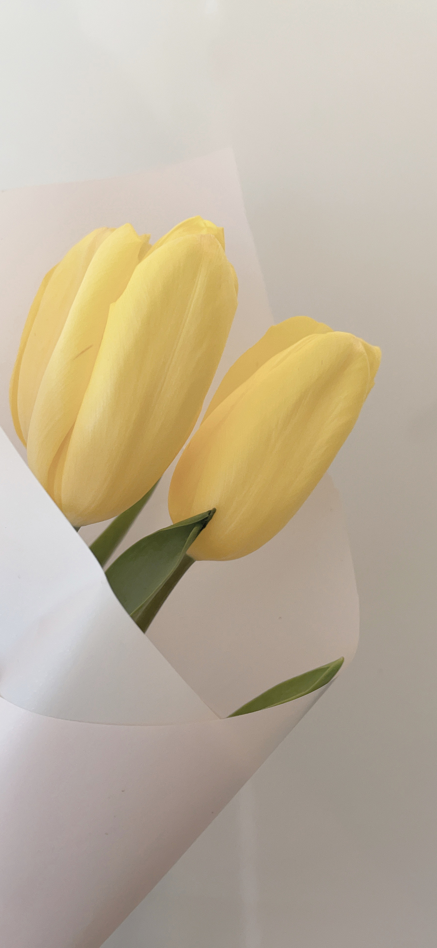 清晰到极致的手机壁纸图片,高清壁纸超清手机壁纸