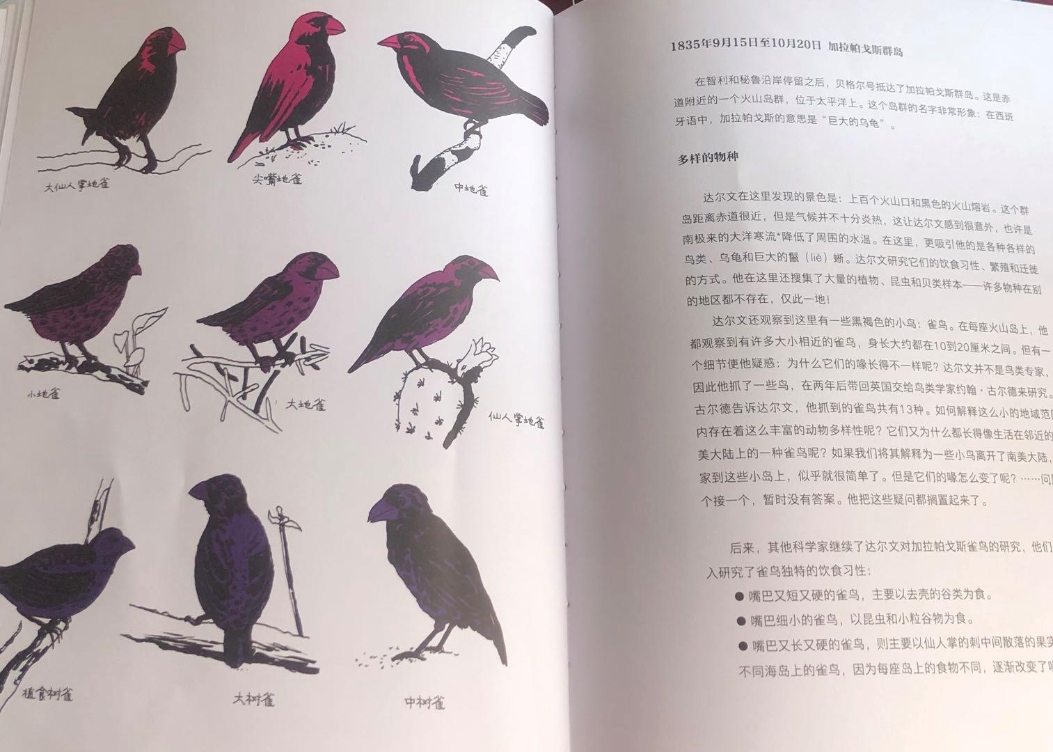 不会思考问题原因,不会思考了怎么办