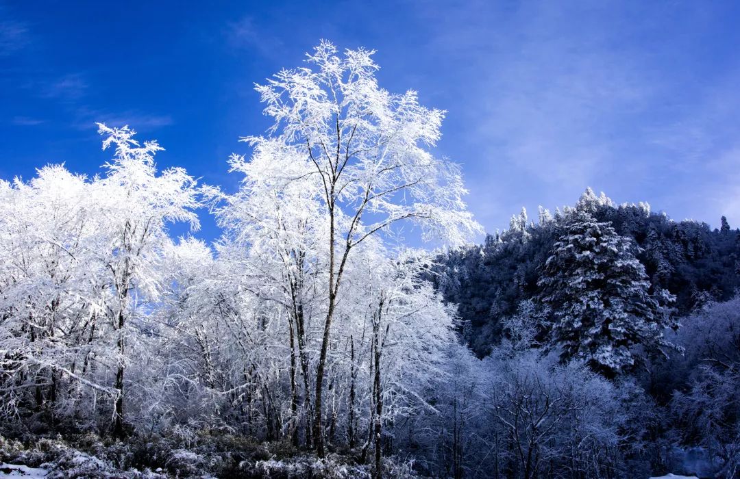 成都附近看雪一日游推荐表,成都周边轻徒步玩雪一日游