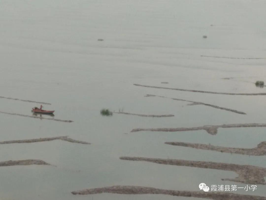 霞浦一中高一新生夏令营,霞浦县夏令营