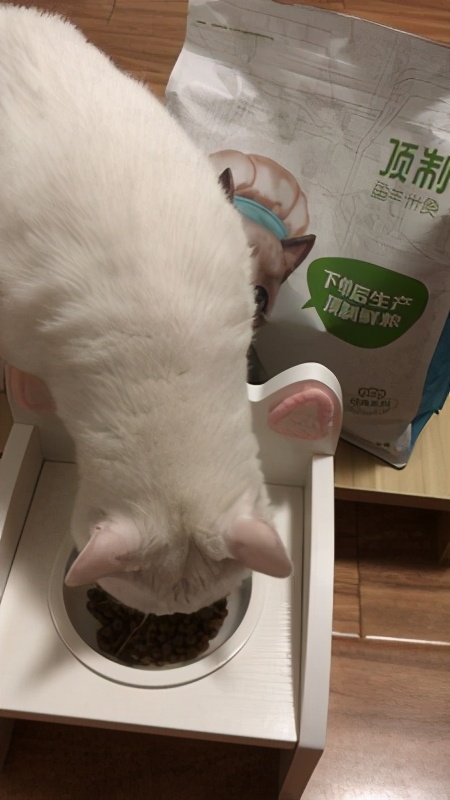 纯福幼猫粮和wowo幼猫粮哪个好,幼猫粮推荐性价比高排行榜第一名