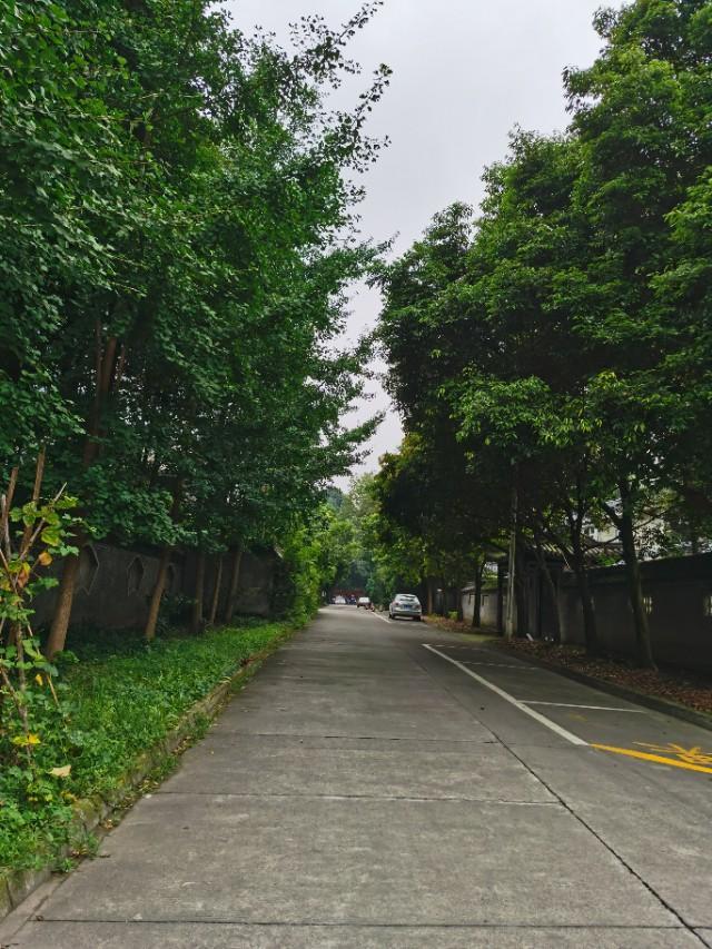 带妈妈去青城山避暑,陪父母游四川青城山