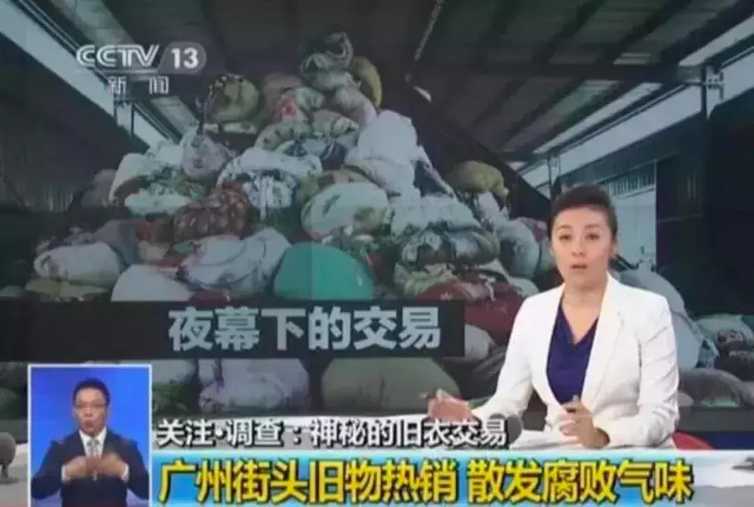 交易猫被央视曝光,收养流浪狗的真实记录