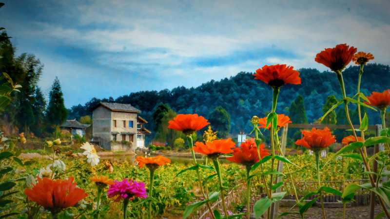 温州文成自驾游攻略最佳路线推荐,温州旅游攻略泰顺路线推荐