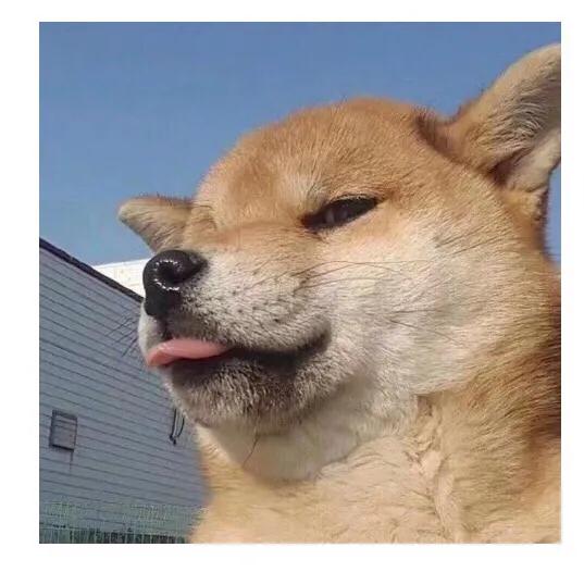 二手苹果手机一点瑕疵毛病没有,二手苹果手机有哪些毛病