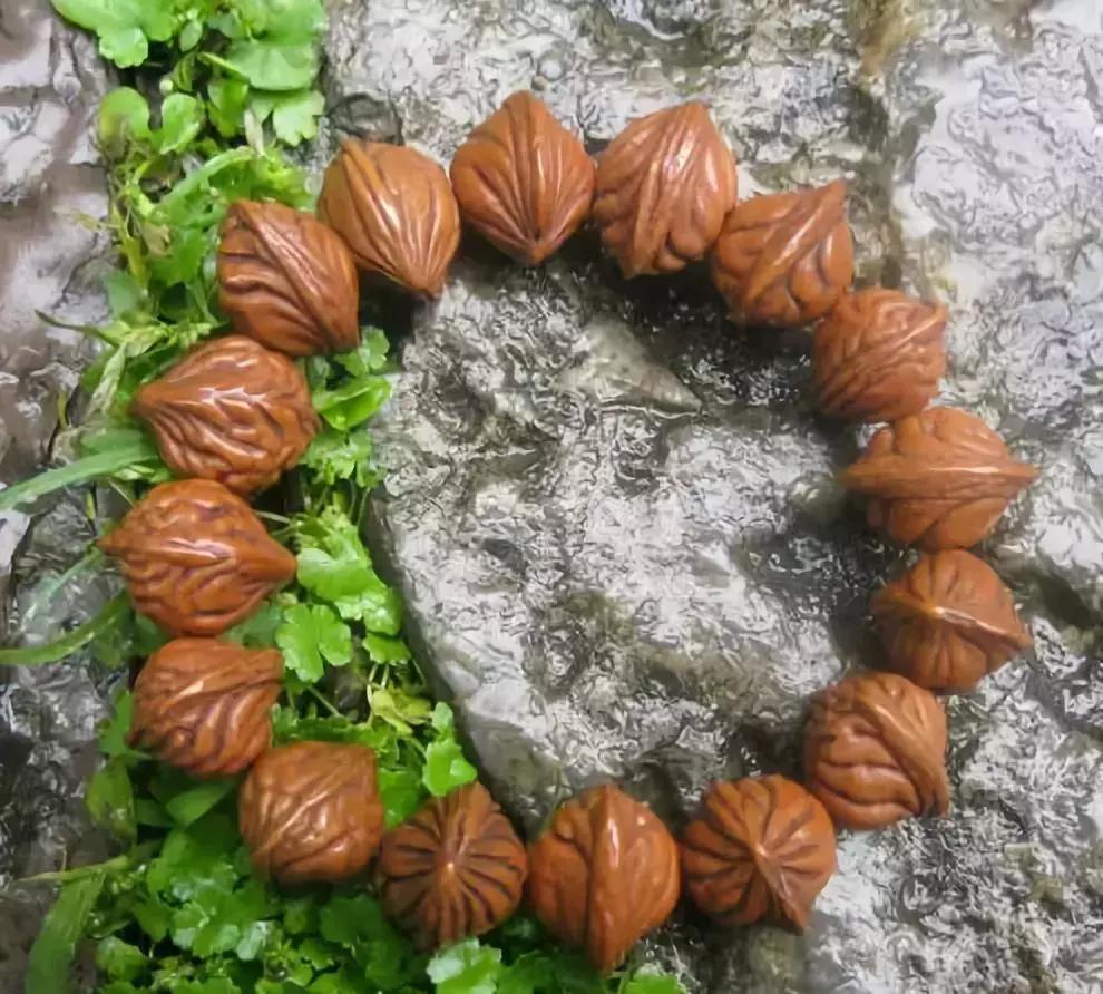 所有菩提手串大展示,菩提手串大全视频