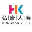 保险公司结构,弘康人寿业务模式