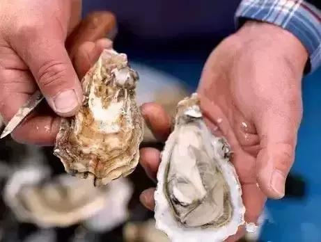 海鲜什么部位能吃什么不能吃讲解,各类海鲜哪个部位不能吃