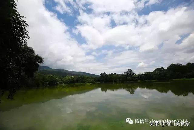 泰国清迈自由行全攻略!从海南出国比去趟*藏西**都方便...