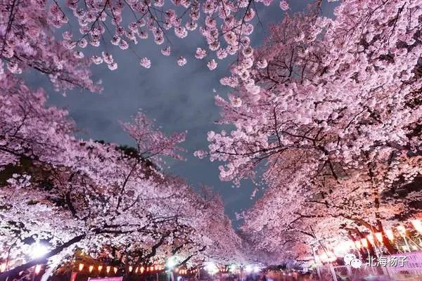 中国气候宜居城市2021,2021亚洲最宜居城市