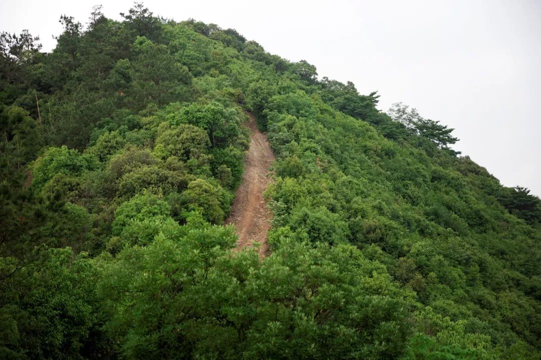 最新路虎卫士越野车,路虎卫士固特异at胎