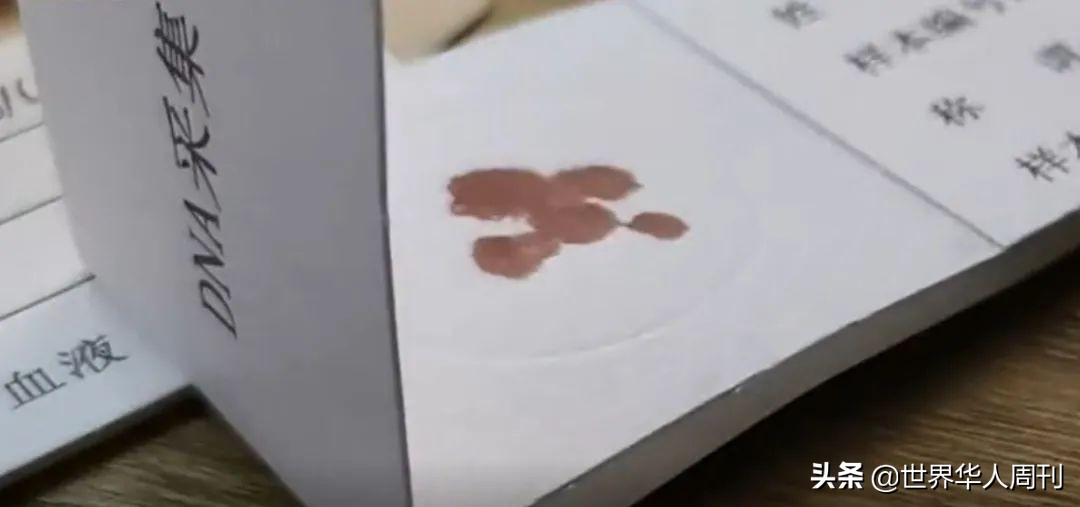 花1万元给小牛做亲子鉴定,给孩子转户口做亲子鉴定要多少钱