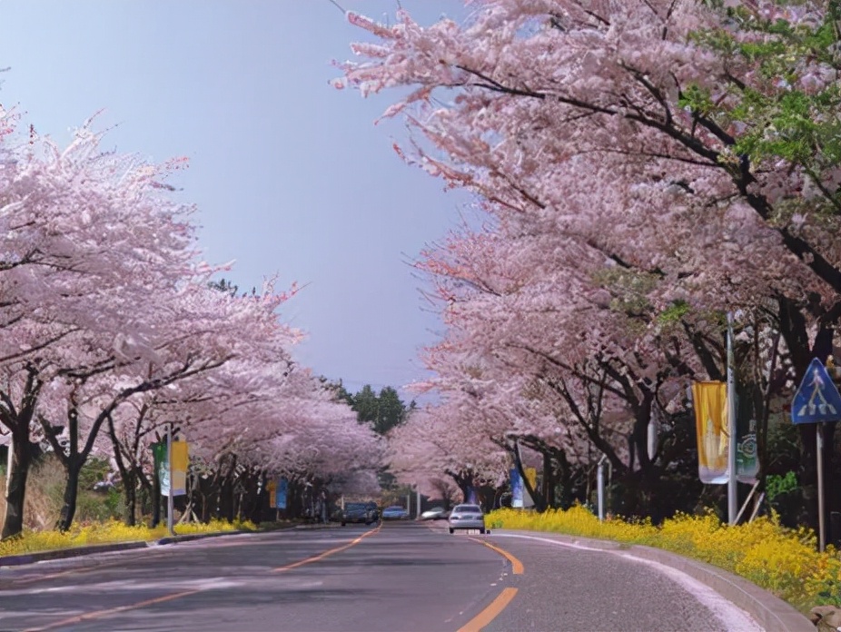 韩国e9签证2021新政策,2021韩国商务签证如何办理