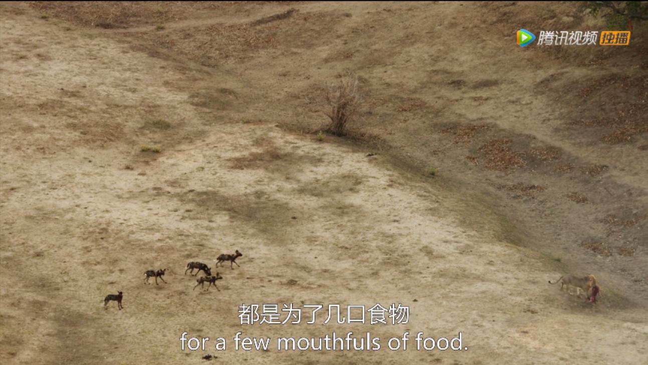 《王朝》详述杂*狼色**女儿居然对母亲六亲不认？