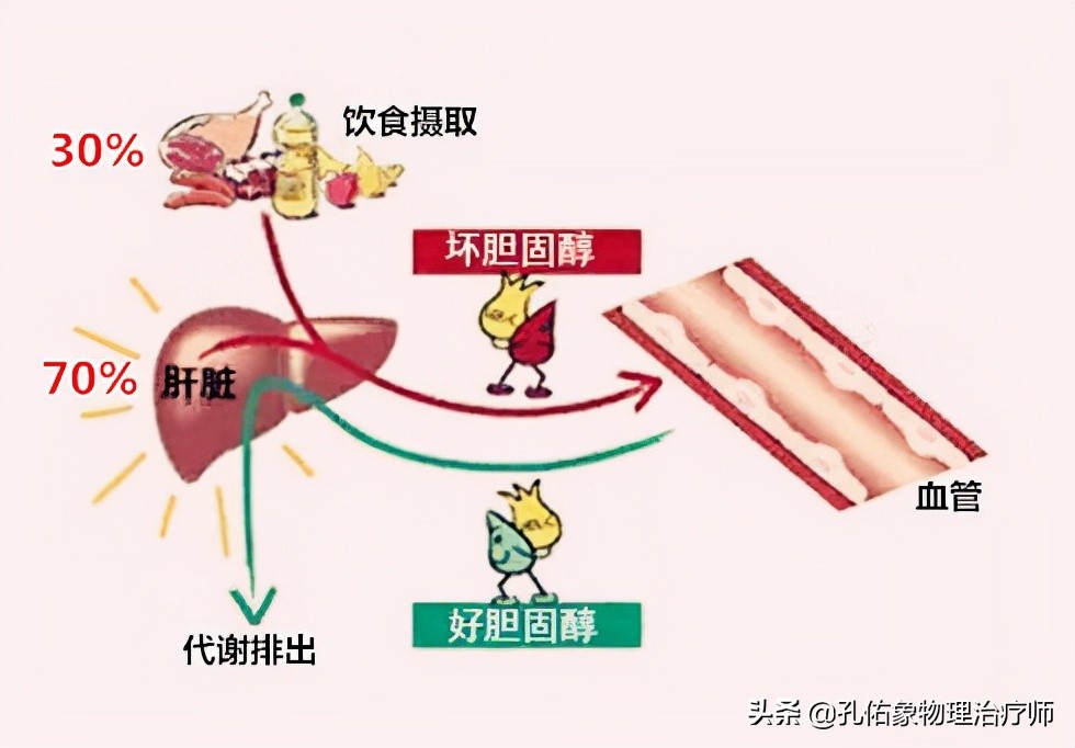 老年人高血脂的危害,老年人血脂高危害大吗