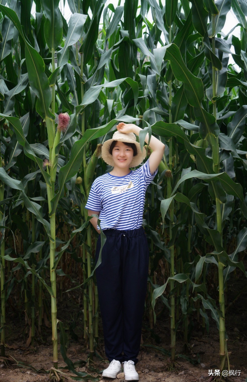 度假不逛景点适合去哪里,度假不必去远方