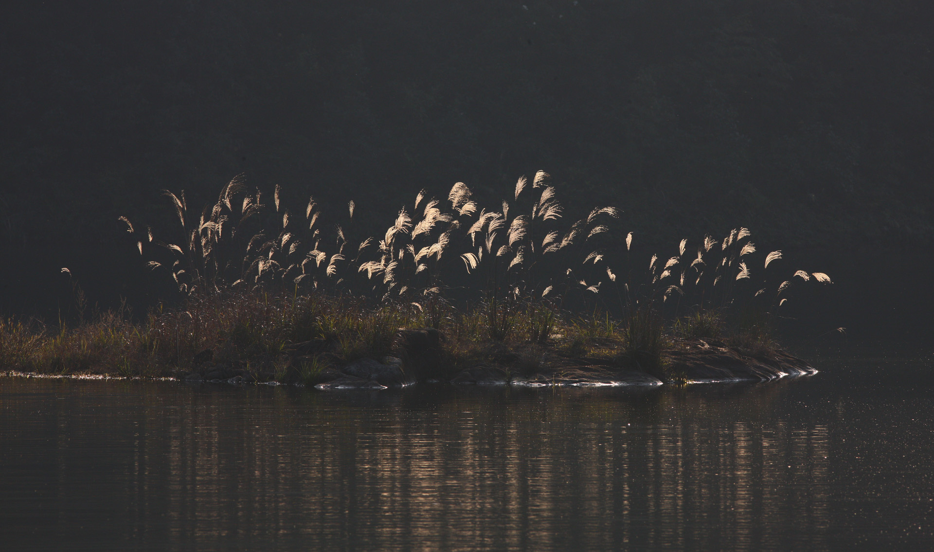 佳能1dsmark3还值得买吗,ds时代