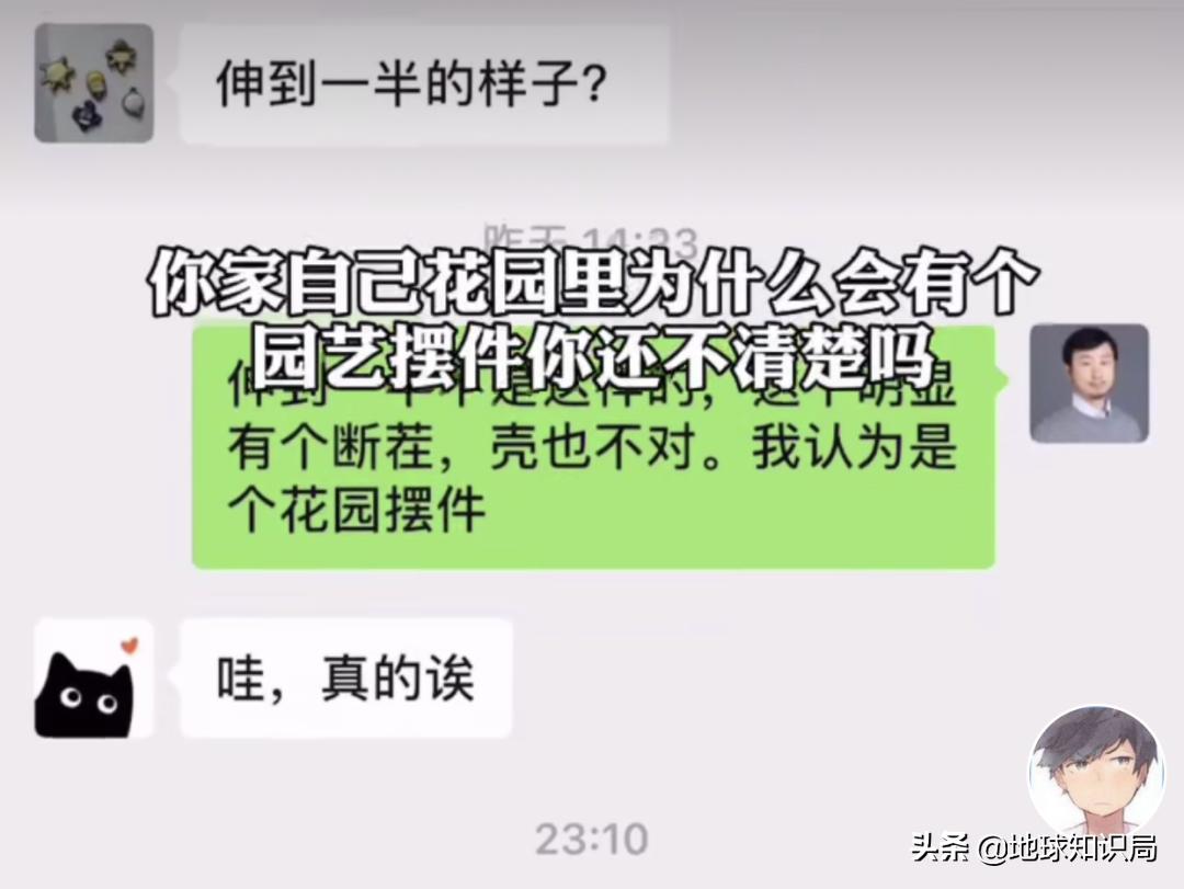 全球旅行攻略干货,全球旅行不为人知的秘密