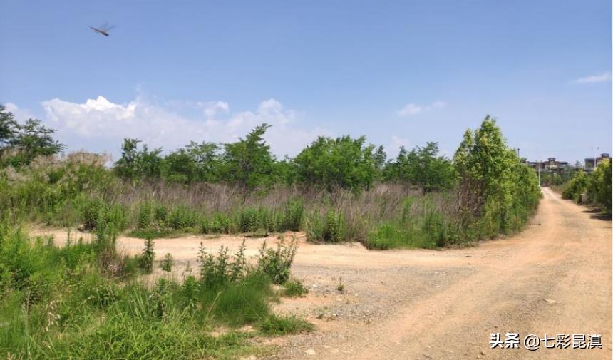 投资8亿的项目烂尾,投资13亿项目成烂尾楼