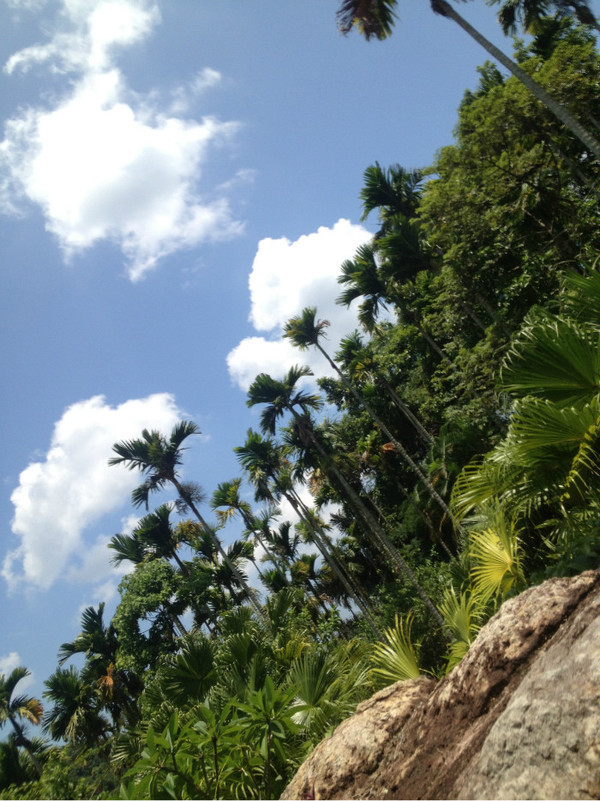 三亚自由行旅游攻略超详细哦,三亚旅游自由行全攻略