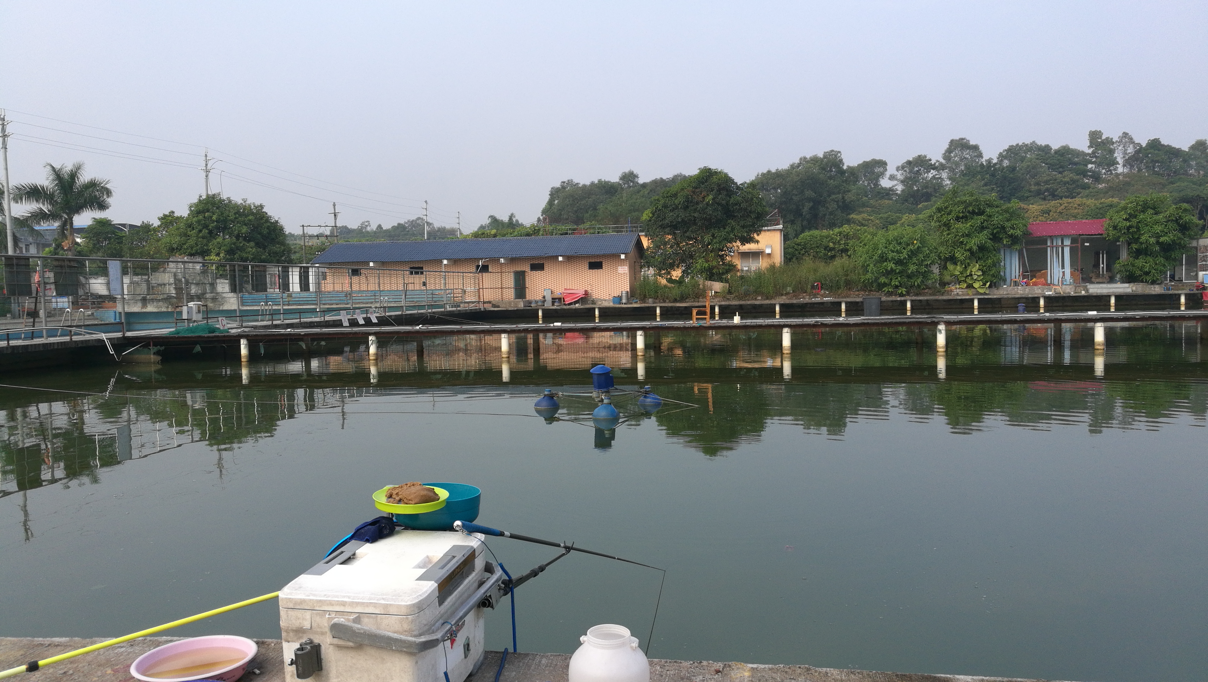 野钓能不能玩转黑坑,作为一个钓鱼的人