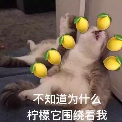 哥本哈根和爱因斯坦,哥本哈根学派的代表人物是谁