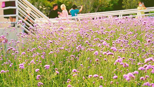 广州花都公园景点地图 (花都旅游景点分布图高清版)