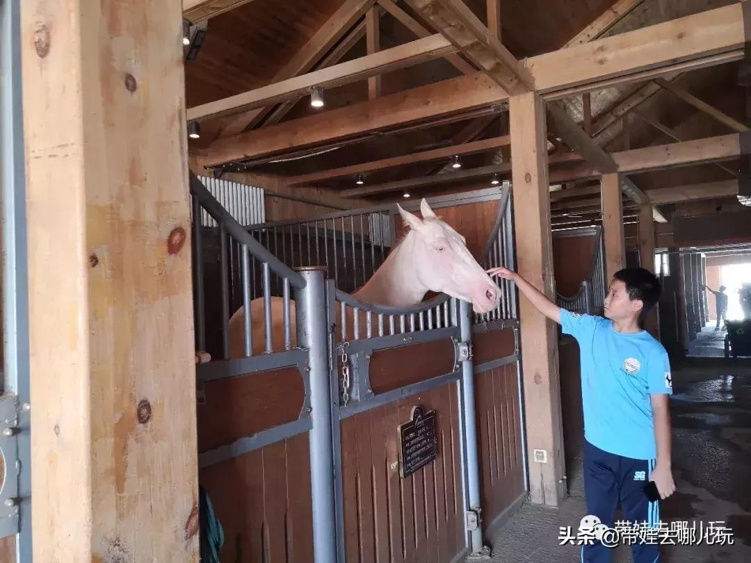 北京最有度假感的酒店，就在金海湖