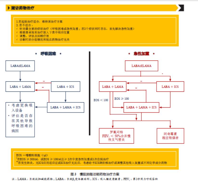 慢性阻塞性肺疾病前沿进展,2019gold慢阻肺指南