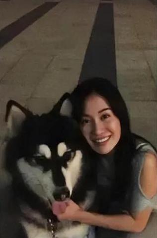 李依晓被狗咬赔偿了吗,李依晓被叶璇狗咬事件败诉