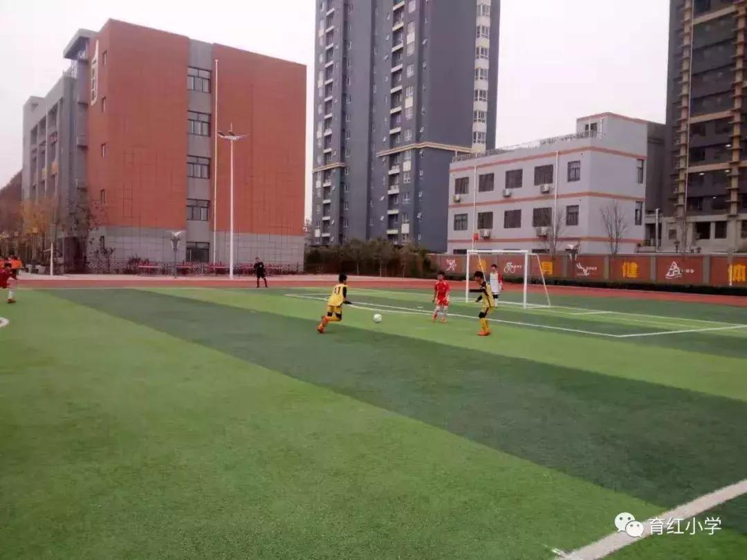 育红小学足球比赛,育红小学2024运动会