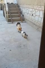 大吐槽：“快住手啊，他们说的3P不是这个意思”