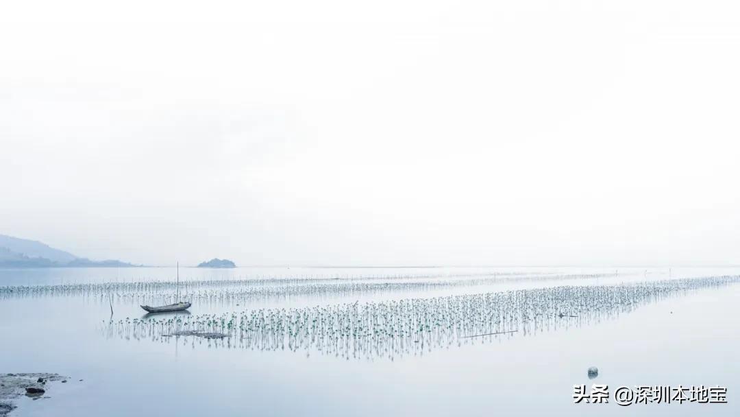 深圳出海到达的超美海岛,深圳最美海岛旅游攻略