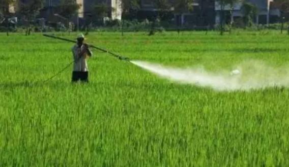 记住这10大农药经典方案,能治近100种病虫害