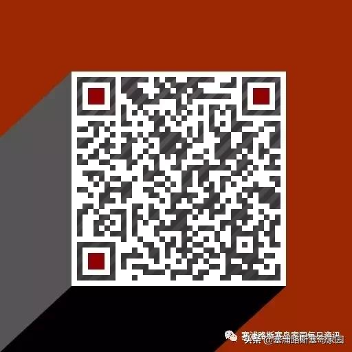 实况足球塞浦路斯评测,跑马拉松的实况