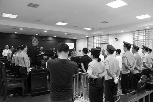 野猪跨越台湾海峡,野猪横跨长江