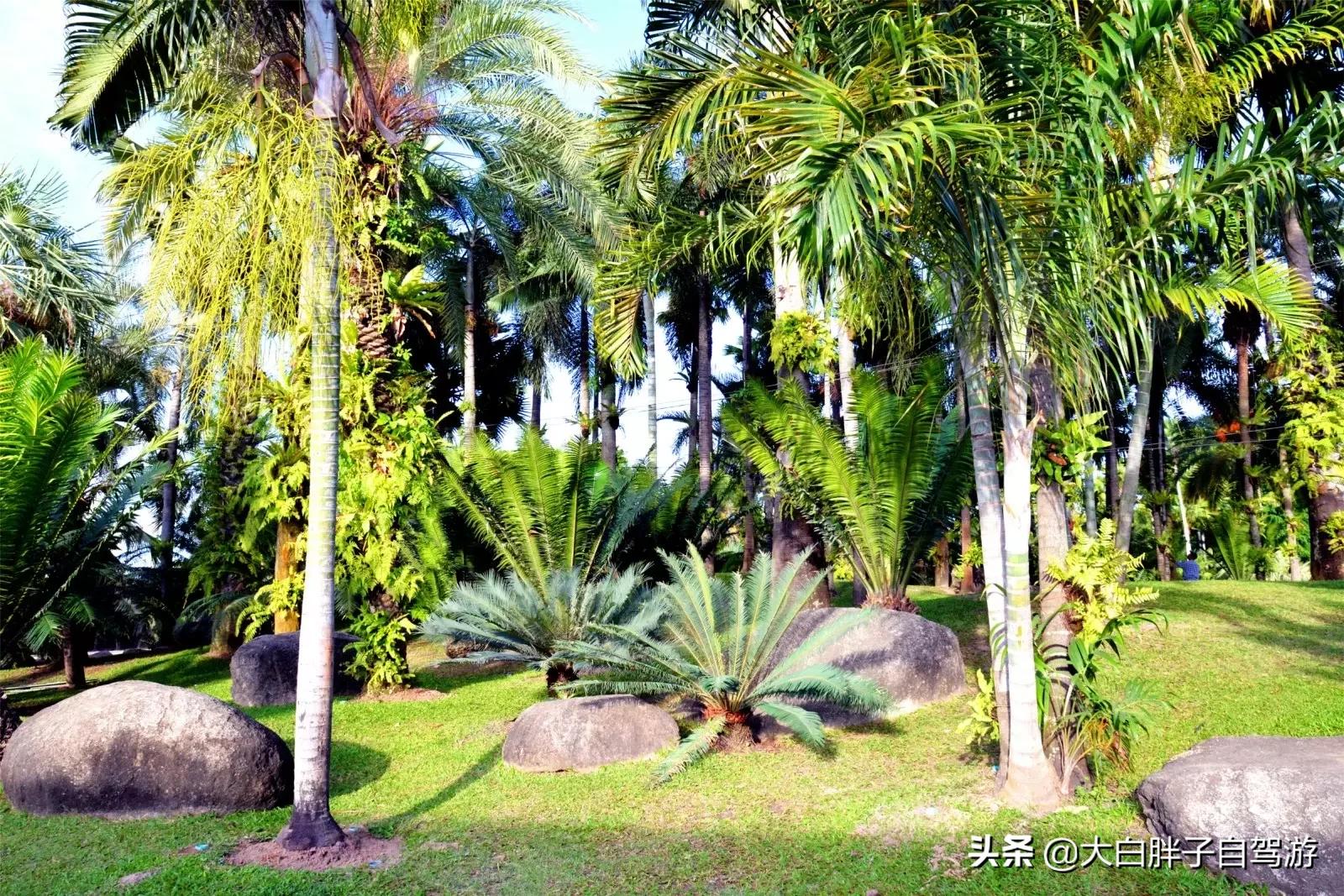 泰国风情之旅完整版,泰国风情记